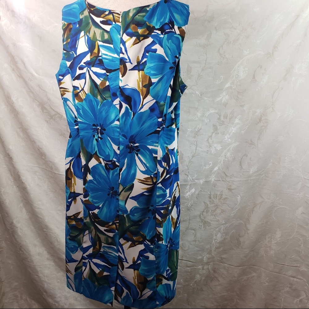 Dress Barn Dress, Size 16